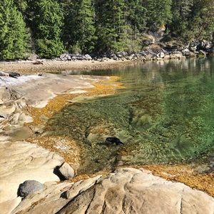 Meet your Posher, Jayne